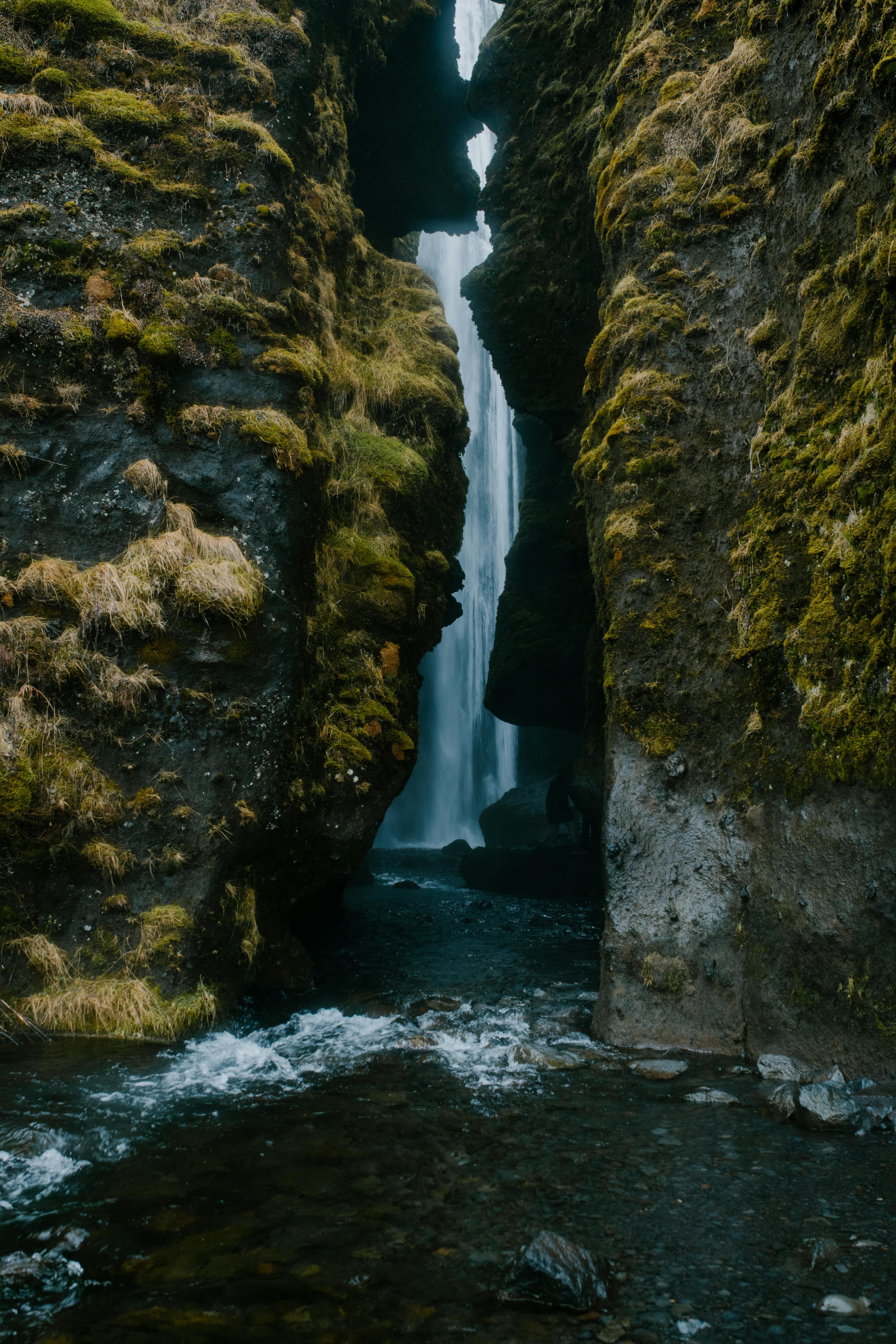 A picture of a forrest