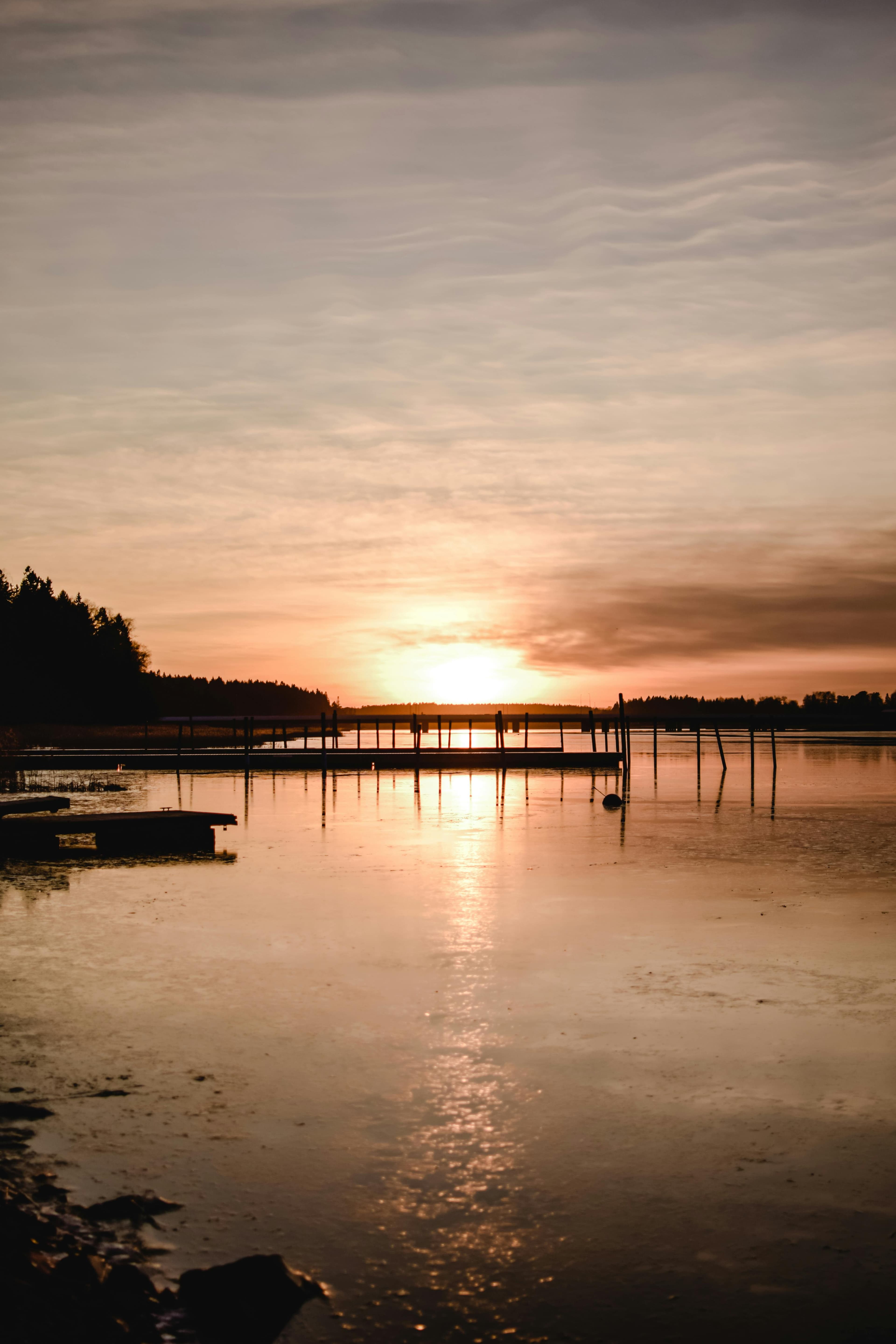 A picture of a forrest